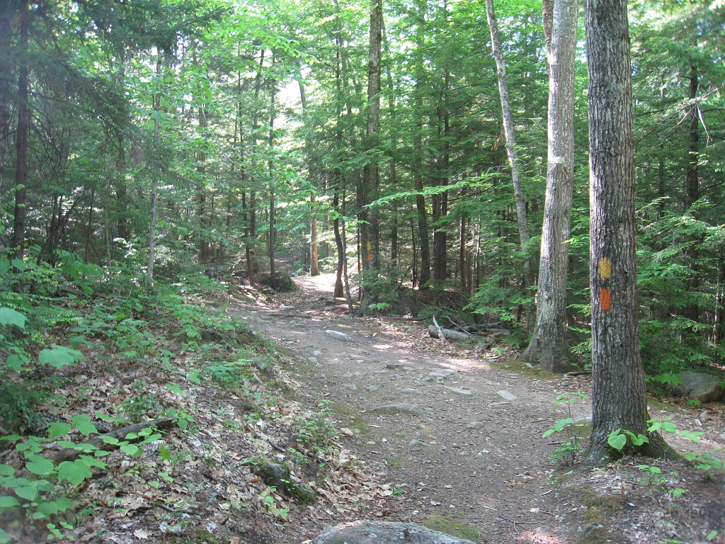Elwell Trail NH 2010 085.jpg - The Elwell Trail North of Bristol NH, runs along Newfound Lake. The trail goes to Little and Big Sugarloaf mountains. Supposedly it also connects to Mt Cardigan. May 2010.